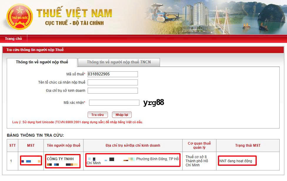 Hướng dẫn kiểm tra thông tin thuế đã đăng ký với Cơ quan thuế 2