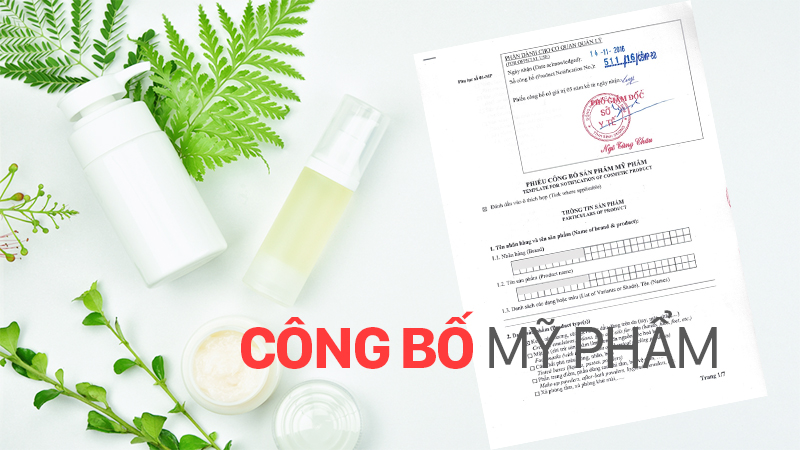 Thủ Tục Công Bố Mỹ Phẩm Nhập Khẩu: Hướng Dẫn Chi Tiết Từ A – Z 1